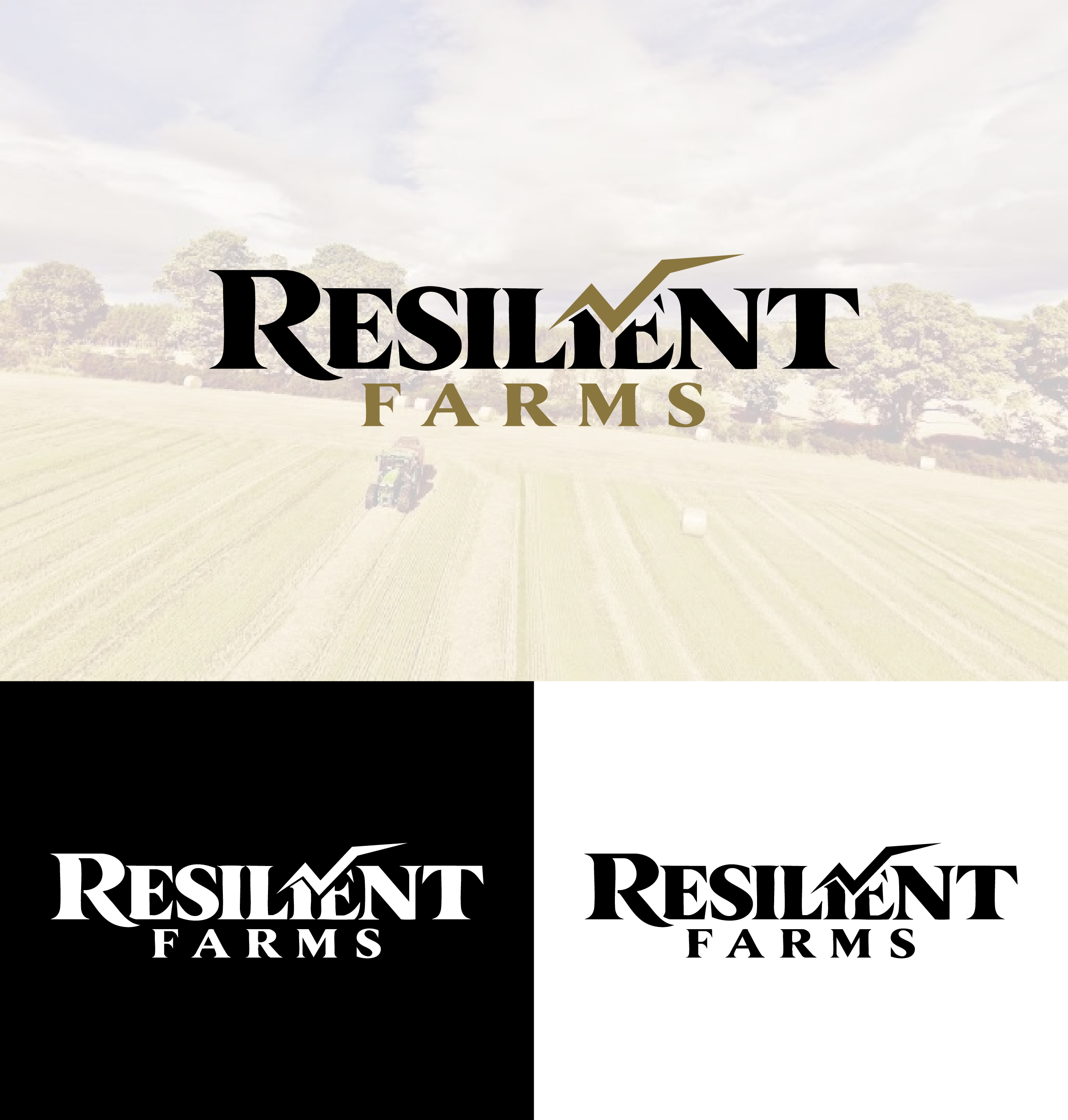 Logo Design by GFXCorners for this project | Design #37709901