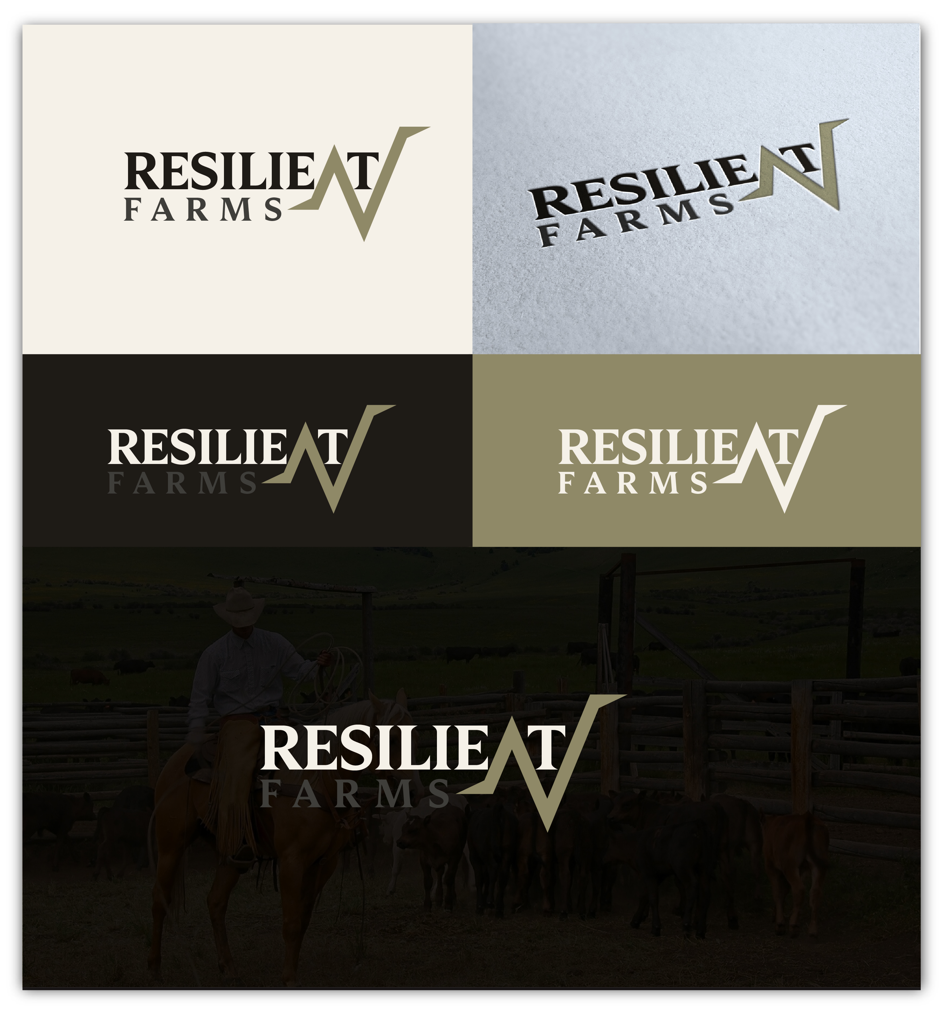 Logo Design by creativeoutline for this project | Design #37708183