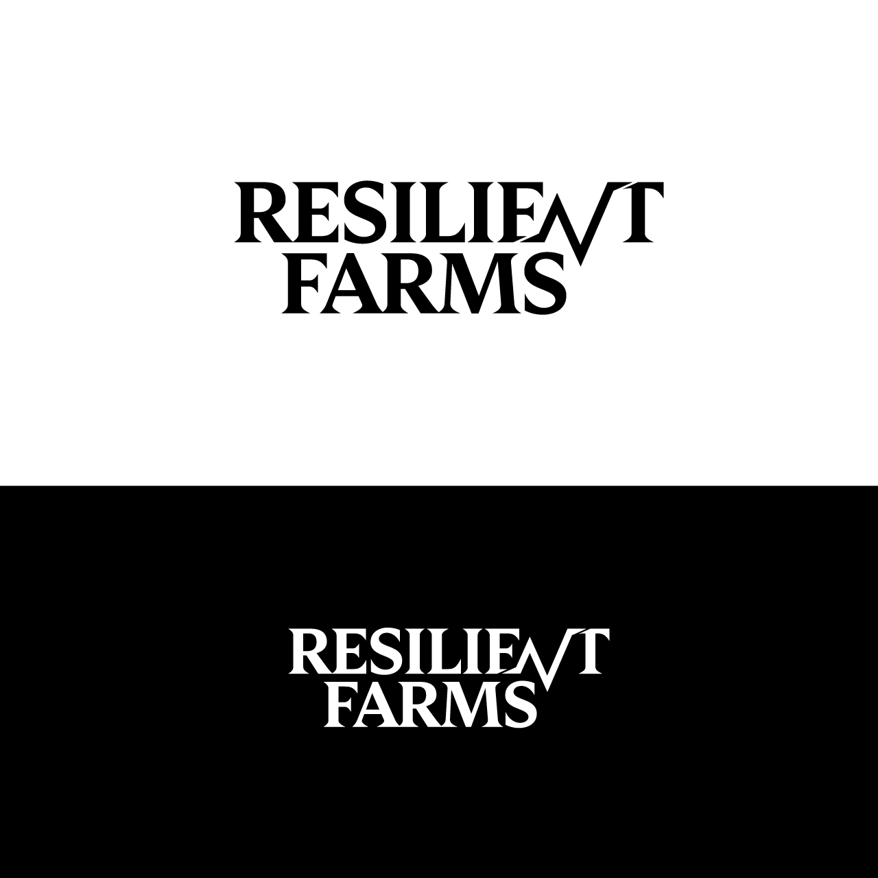 Logo Design by Amaira Studios for this project | Design #37705782