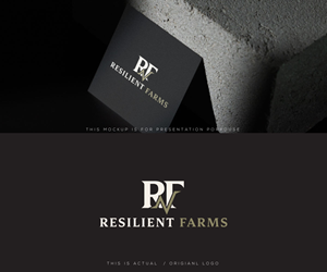 Logo Design by Ansh Design for this project | Design: #37707353