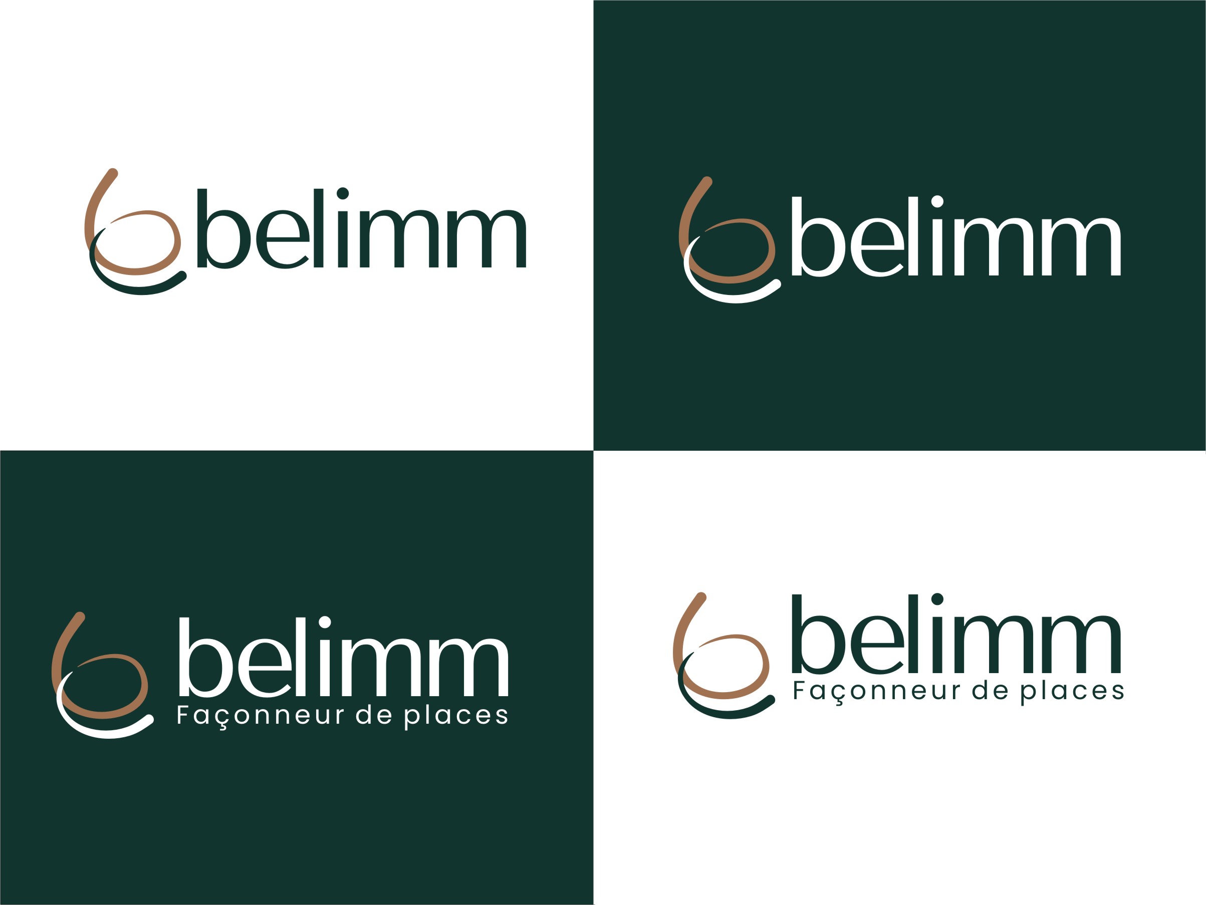 Logo Design by rgb01 for this project | Design #37720993