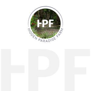 Logo Design by Touseen