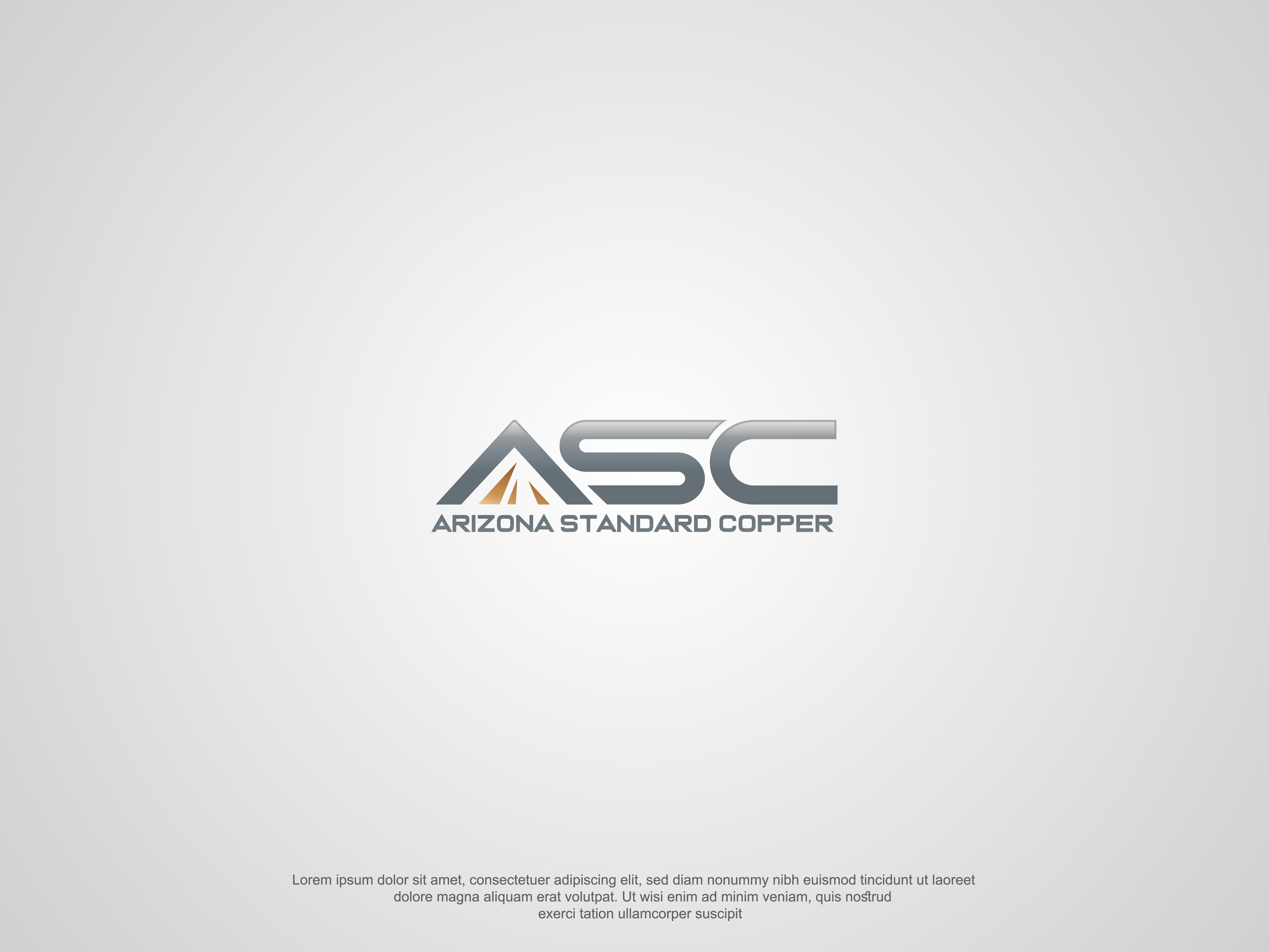 Logo Design by AbrinaDesign for Minto Metals | Design #37717535