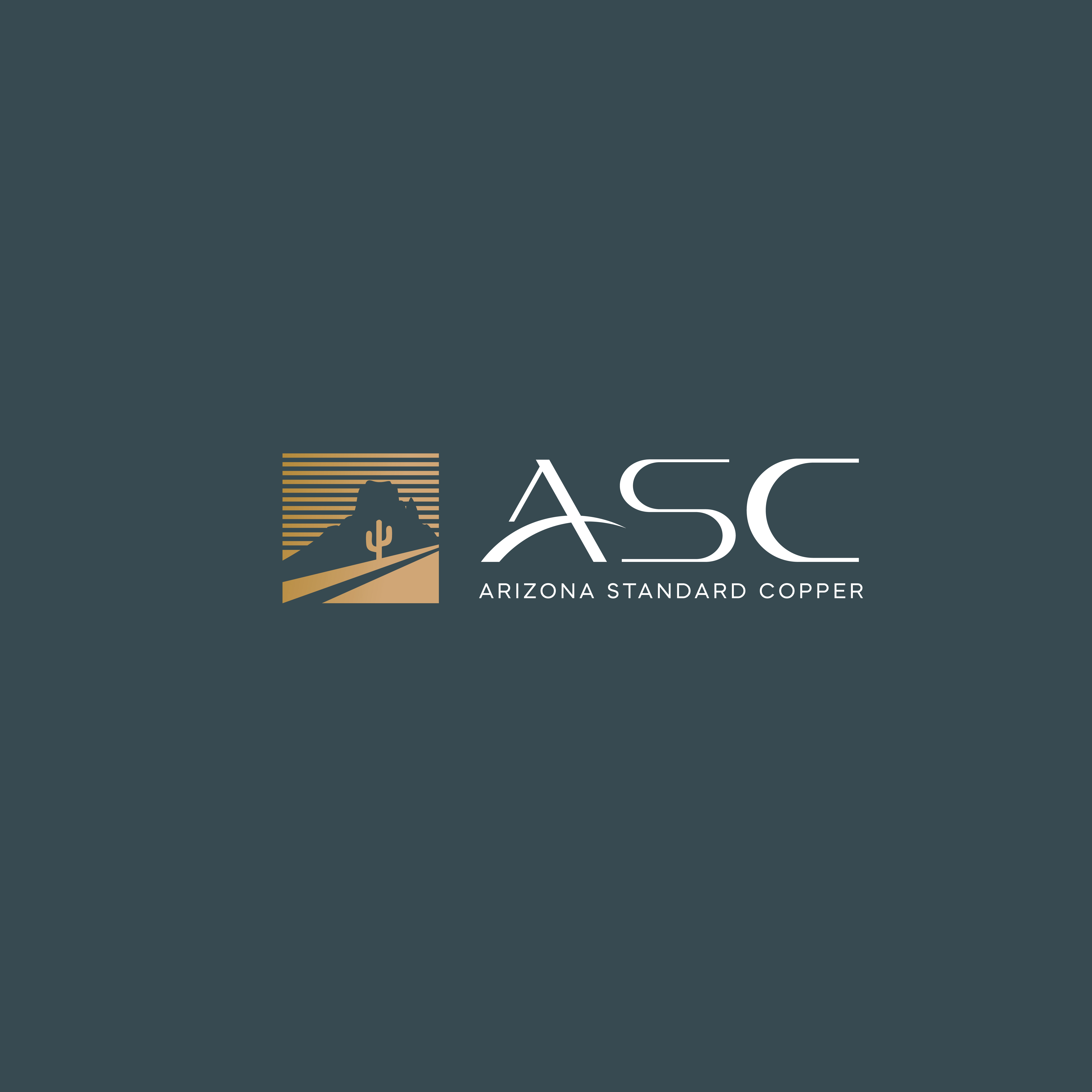 Logo Design by MICH® for Minto Metals | Design #37728827