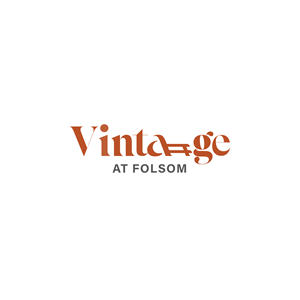 Logo Design by Spirit of India