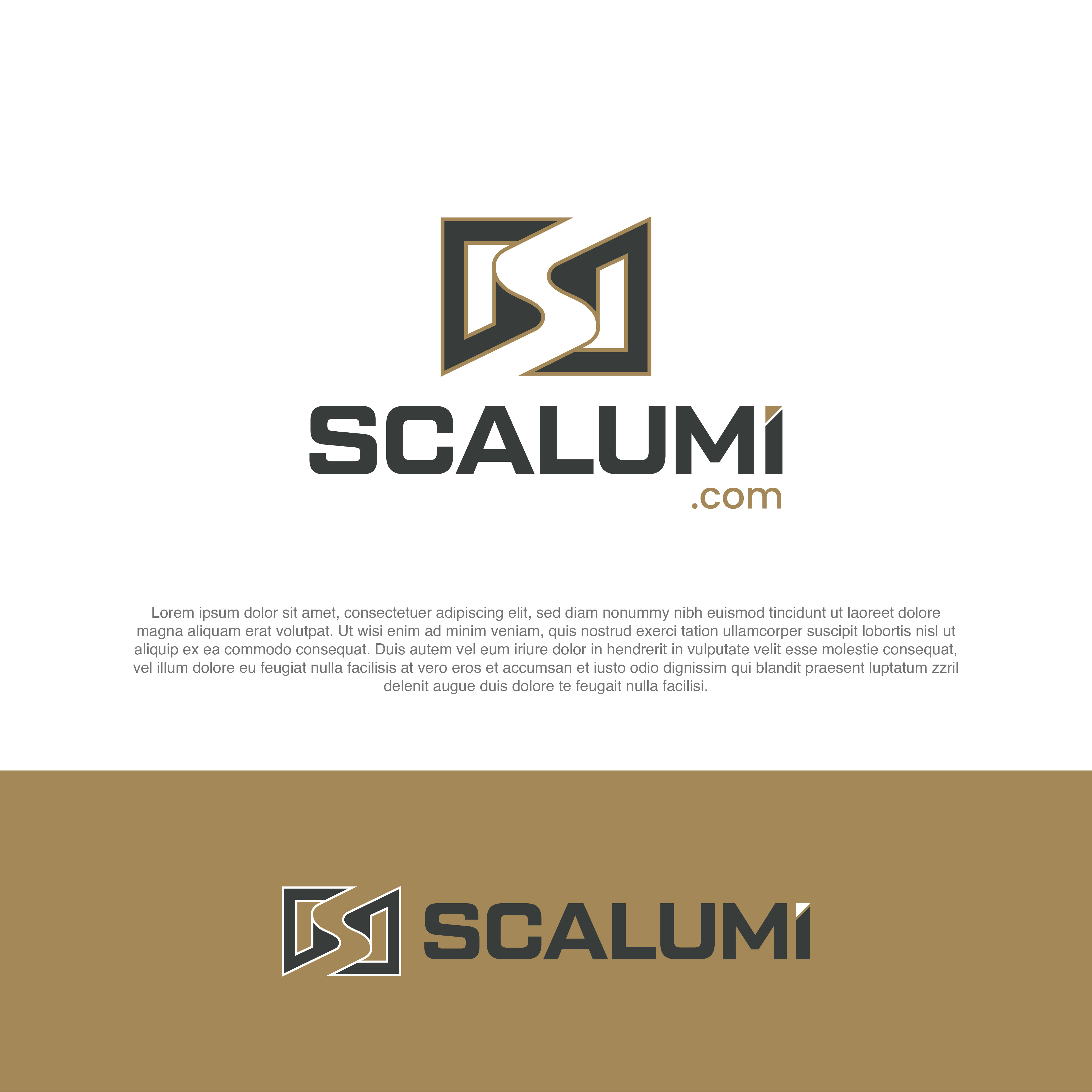Logo Design by Hammad09 for Pro Models bvba | Design #37739337