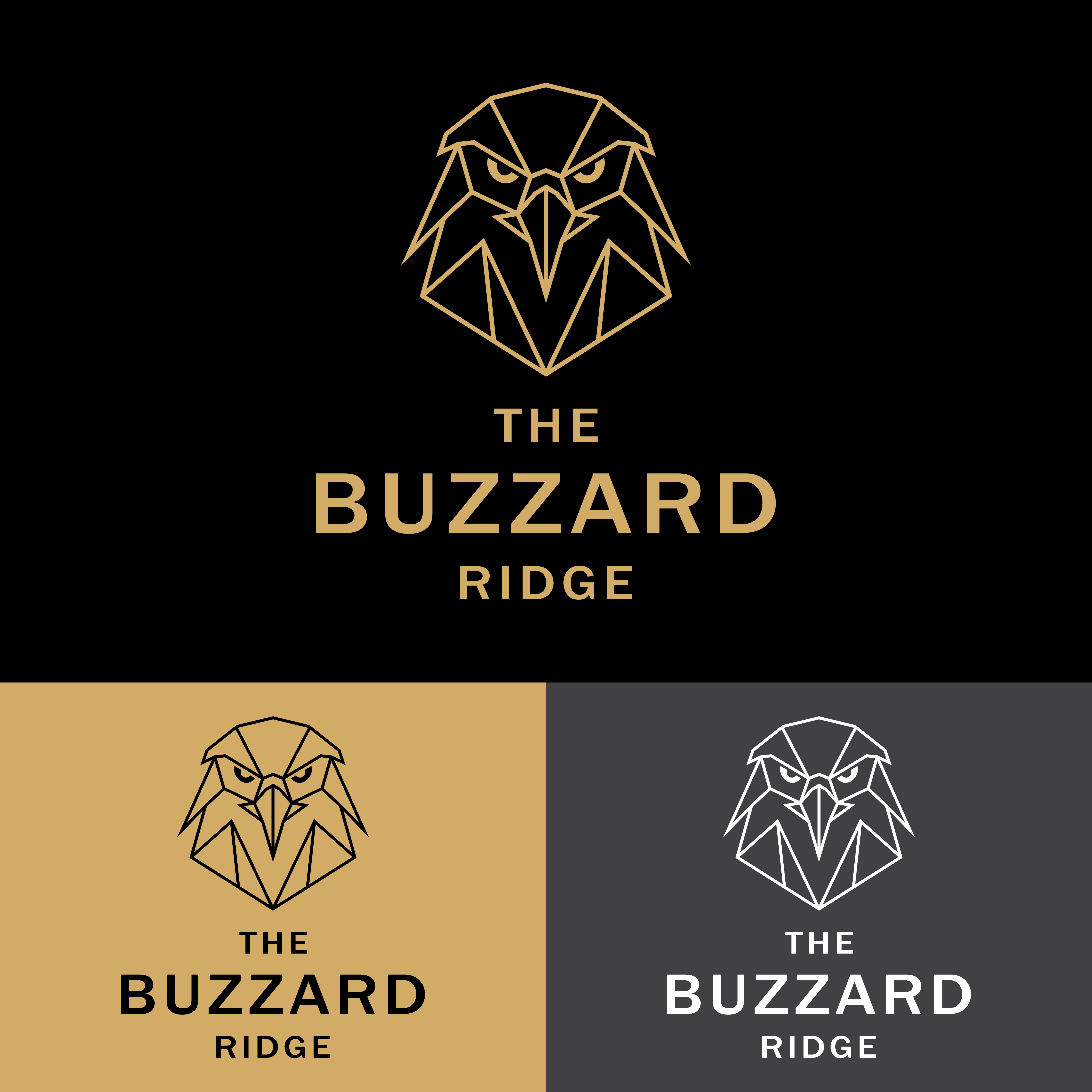 Logo Design by Shakib A.T. for FirePower Graphics, Inc. | Design #37765162