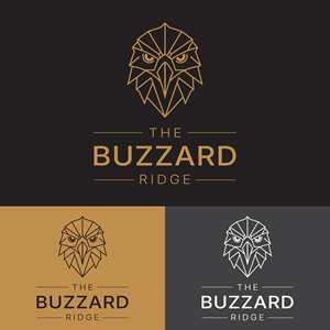 Logo Design by Shakib A.T. for FirePower Graphics, Inc. | Design: #37766017