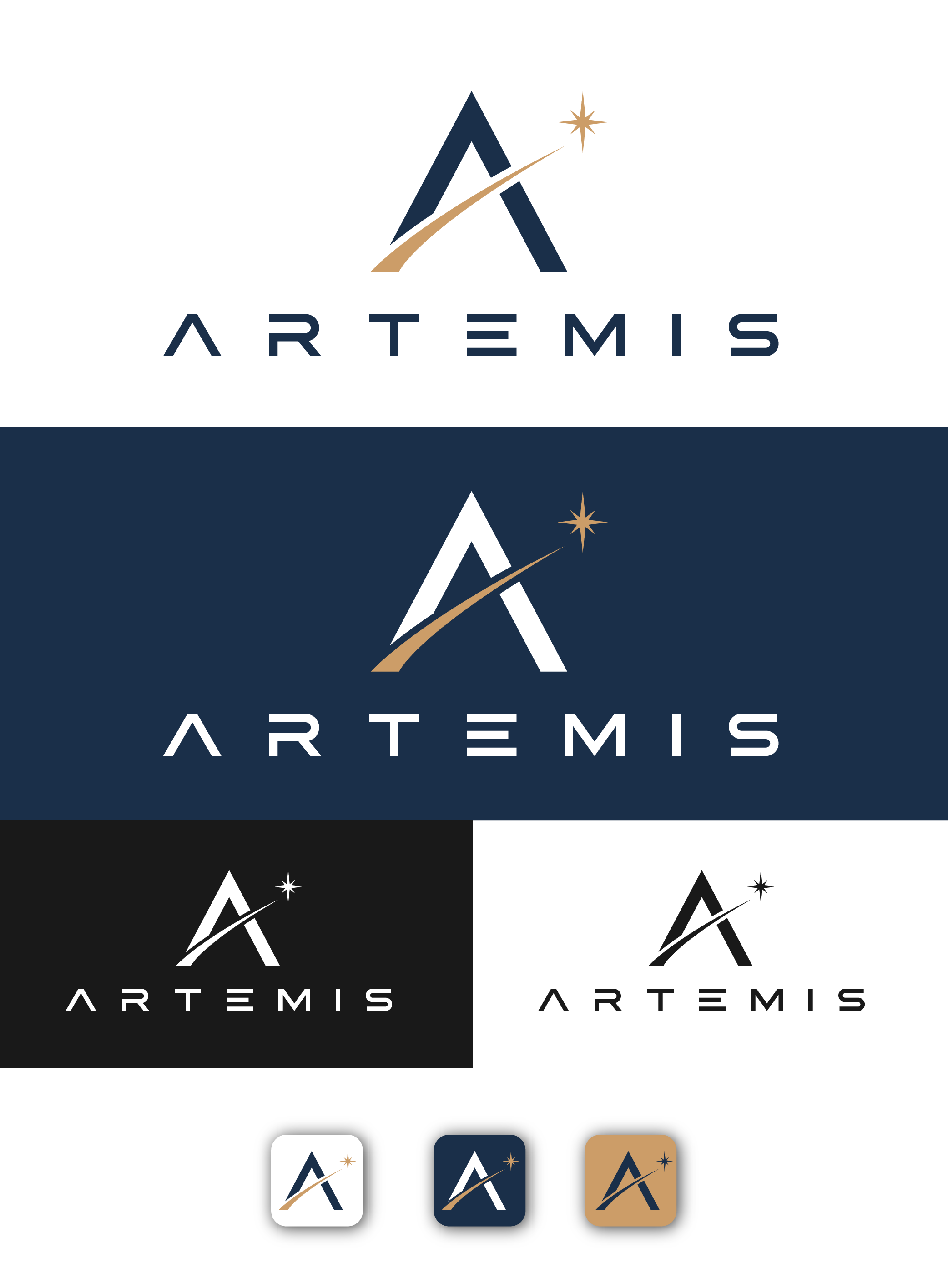 Design de Logo par OUDA@ pour ce projet | Design #37759147