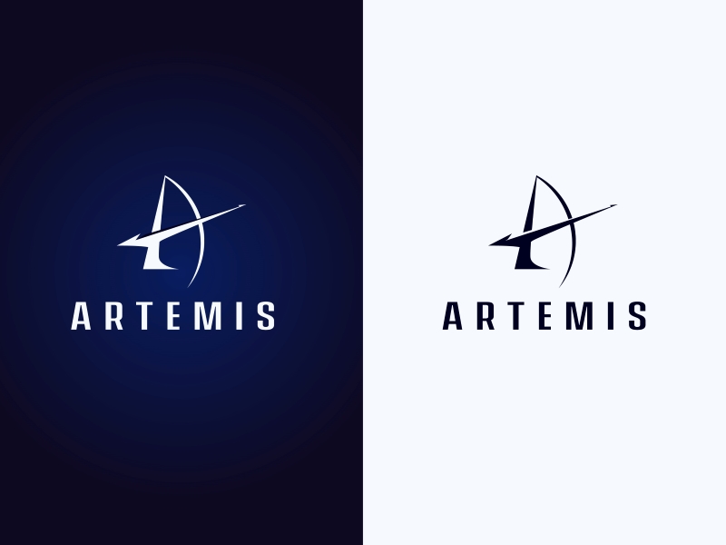 Design de Logo par OmR786 pour ce projet | Design #37747015