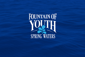 Logo Design by Falcon Kreative for this project | Design #37757147