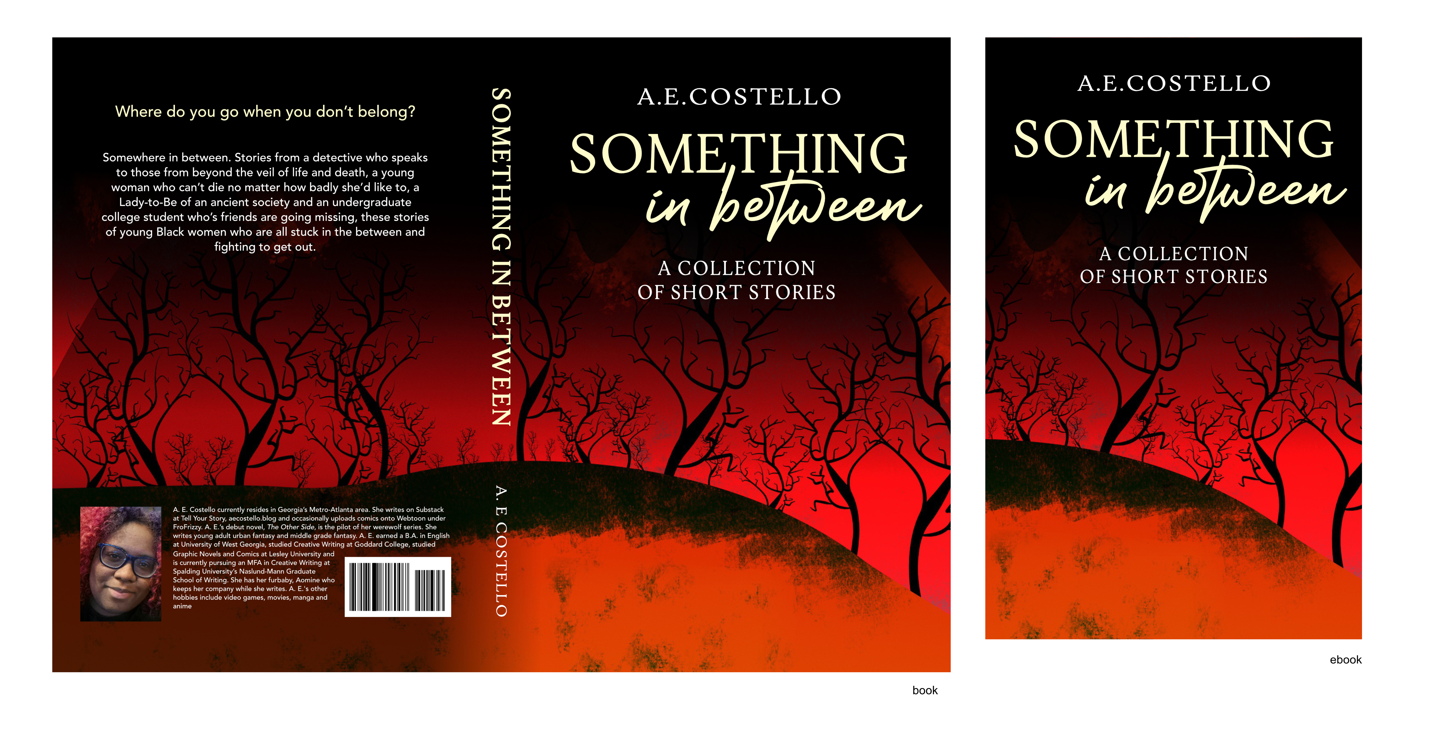 Book Cover Design by AnninWonderland for this project | Design #37761788