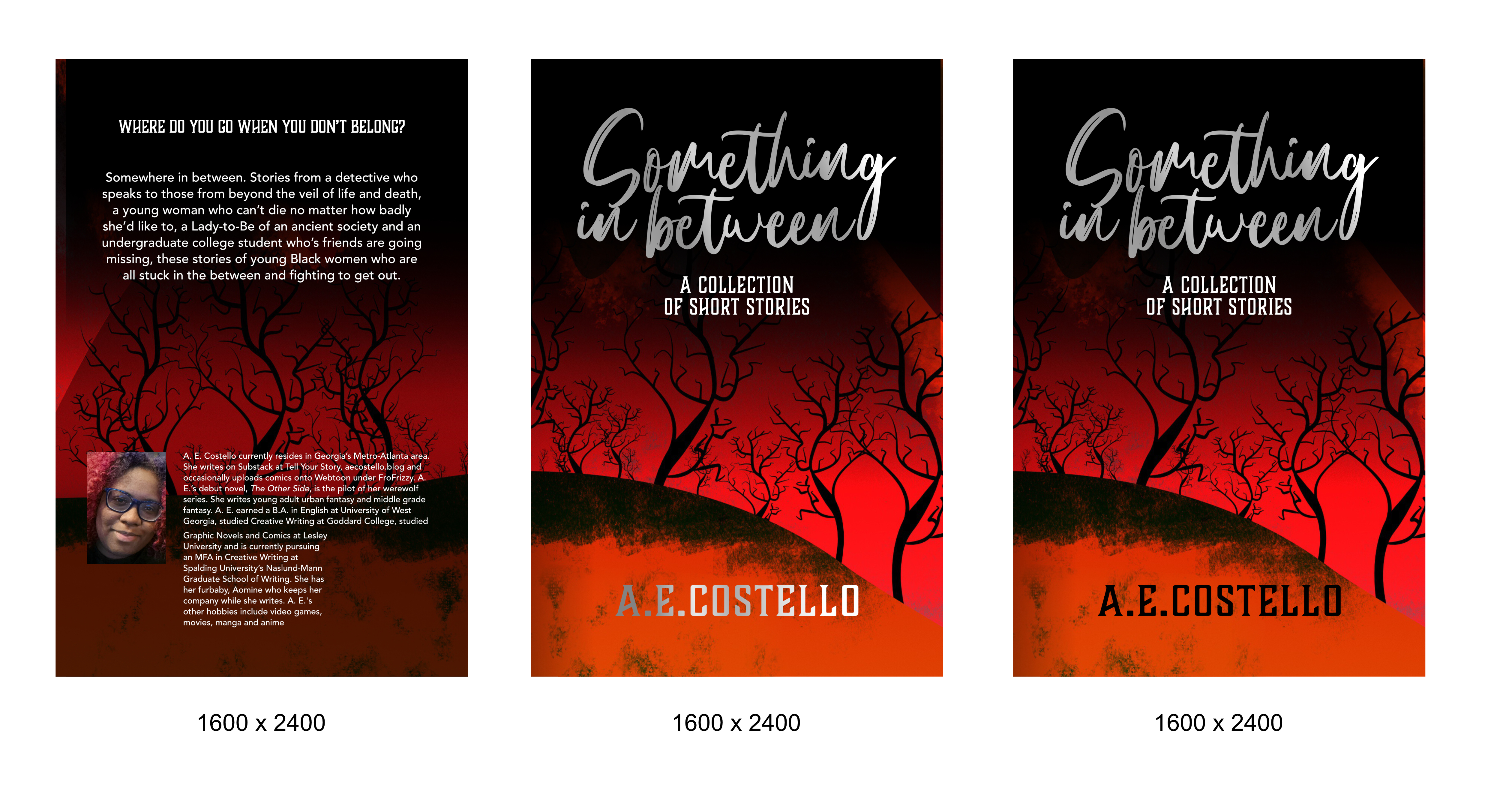Book Cover Design by AnninWonderland for this project | Design #37763978