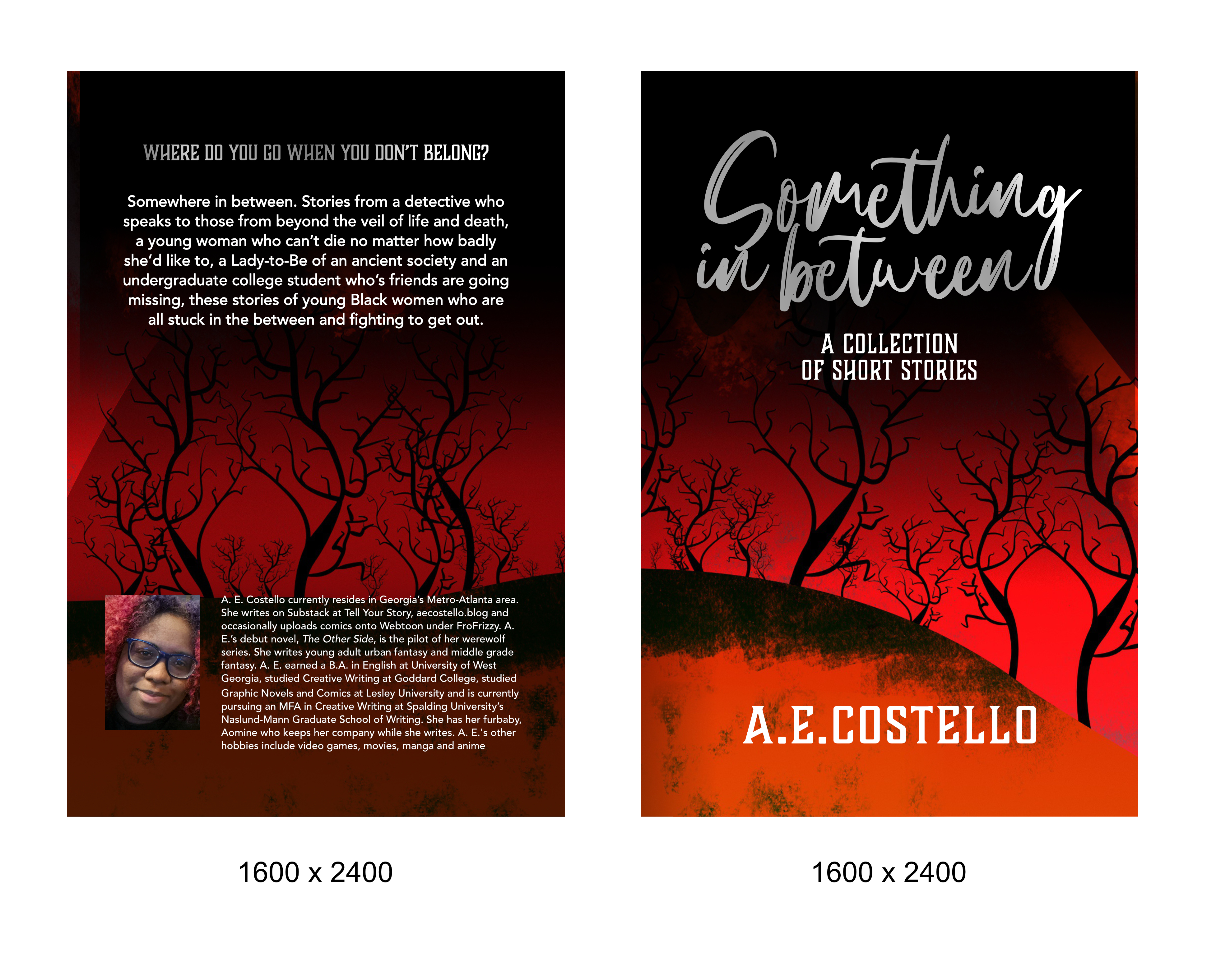 Book Cover Design by AnninWonderland for this project | Design #37764018