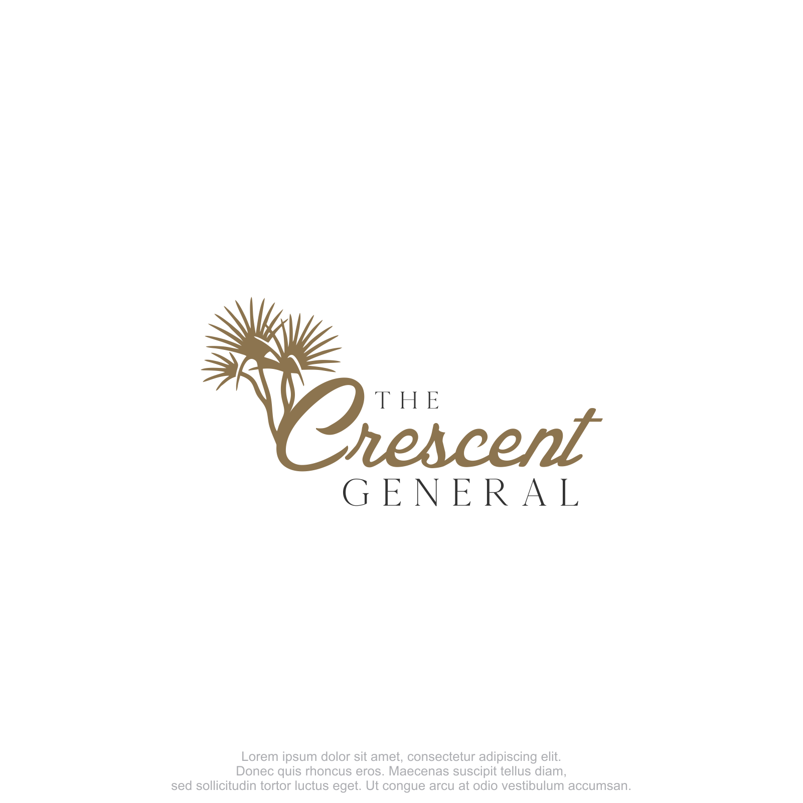 Diseño de Logo por M.Syaiful Huda para este proyecto | Diseño #37766510