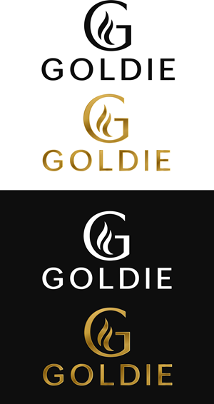 Logo Design by HSNYDesigns for this project | Design: #37773060