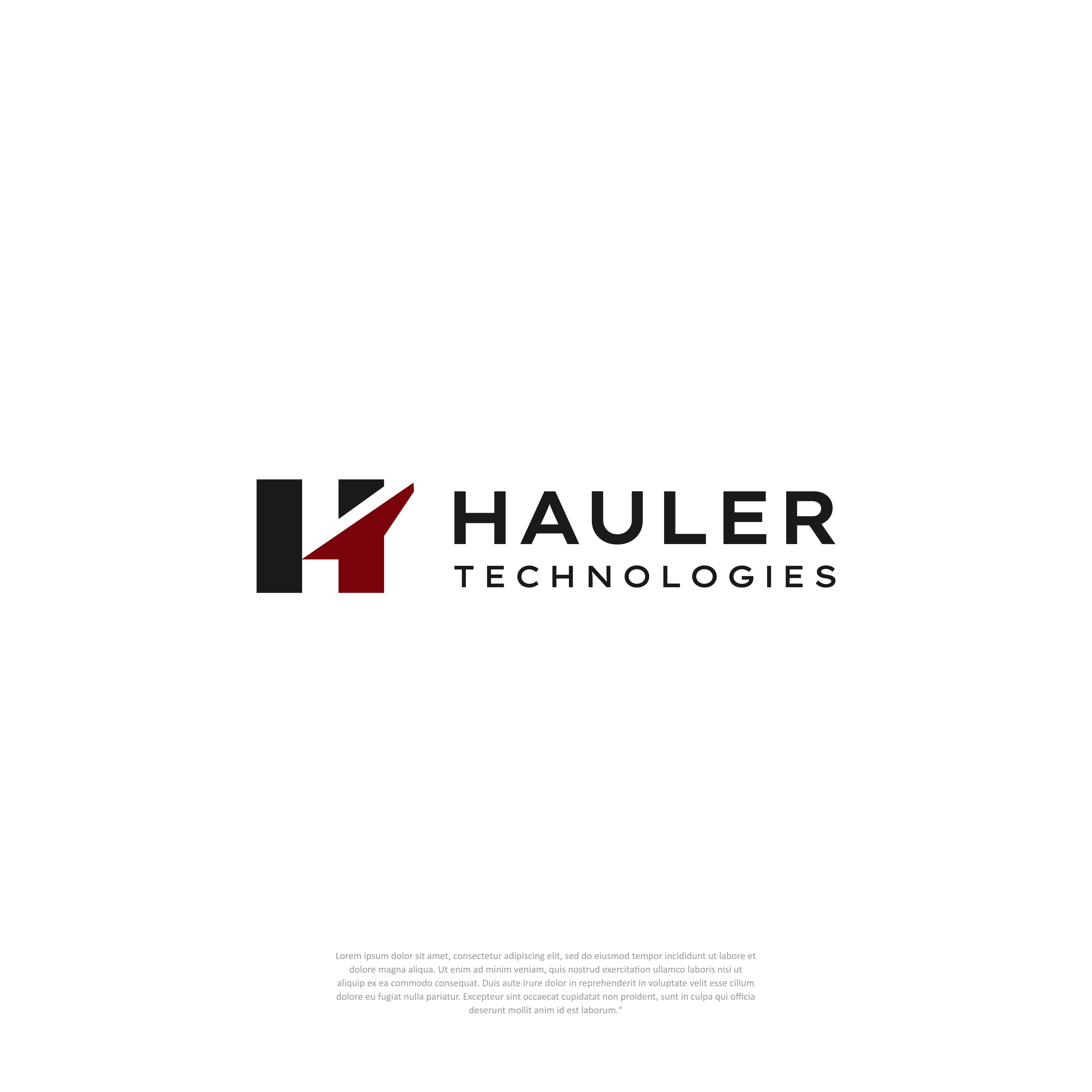 Logo Design by LogoKing for Hauler Technologies s.r.o. | Design #37797661