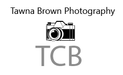 Logo Design by Joslenys
