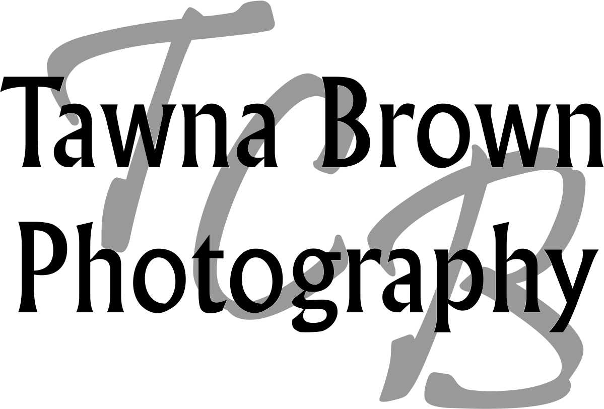 Logo Design by Ryan Goodin for this project | Design #3211101