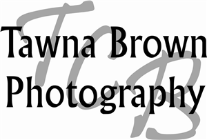 Logo Design by Ryan Goodin for this project | Design #3211101