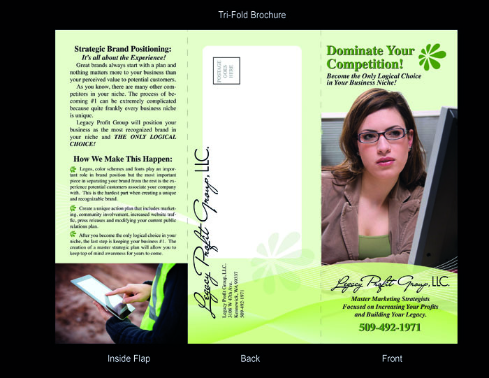 Brochure Design by jmsgraphicdesign for this project | Design #3162537