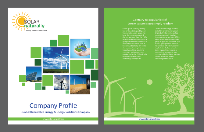 Book Cover Design by kousik for Sustainergy Solutions | Design #3144149