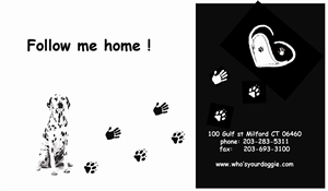 Diseño de Tarjeta de Presentación por Vlad Stanescu