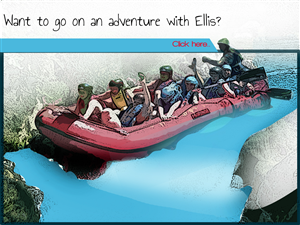 Icon Design by Bradeal for this project | Design: #838545