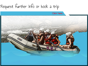 Icon Design by Bradeal for this project | Design: #838547