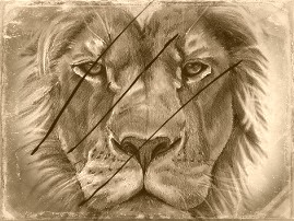 Icon Design by DessEm for this project | Design #881134