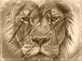 Icon Design by DessEm for this project | Design: #881134