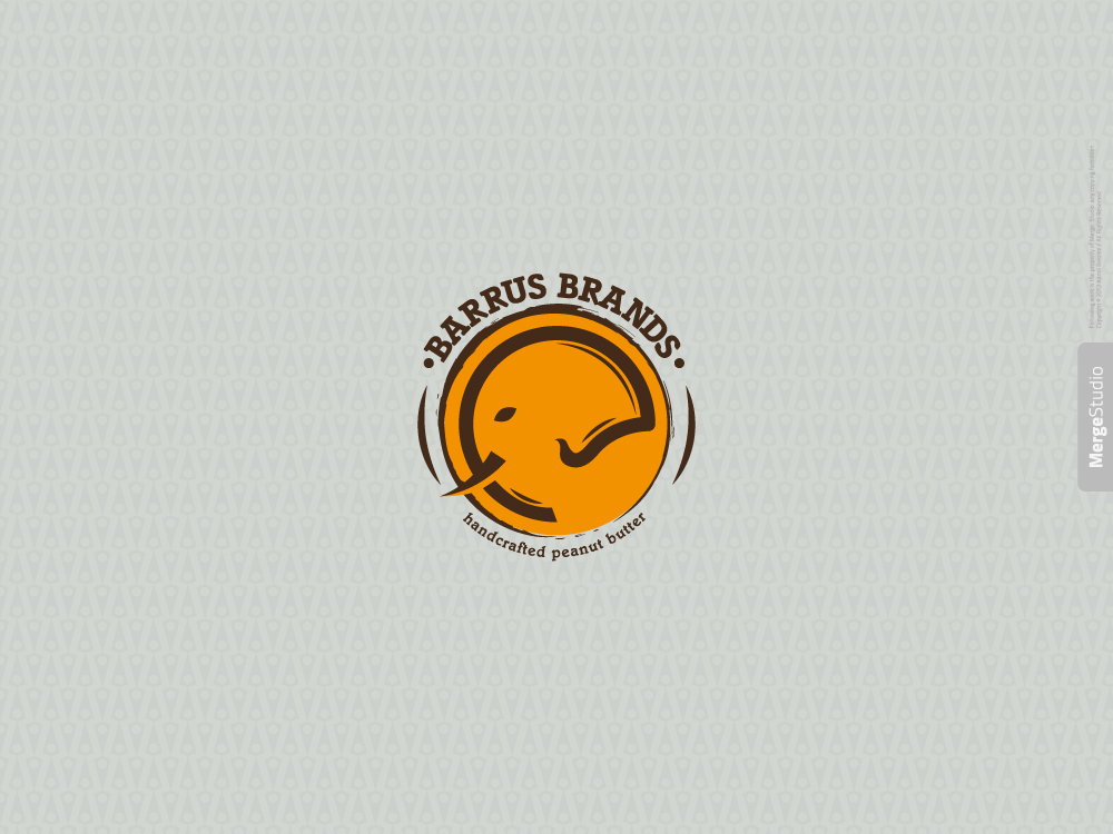 Design de Logo par MergeStudio pour Evolution Resource Group | Design : #803049