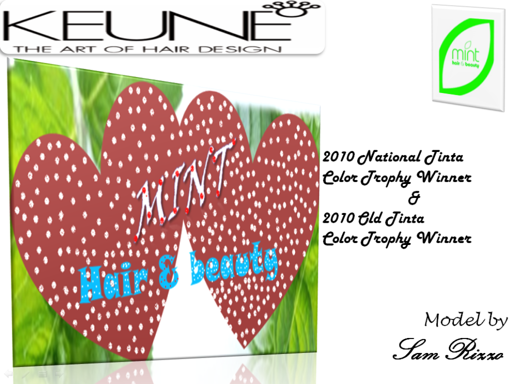 Poster Design by sowmya chowdary for Mint Hair & Beauty Pty Ltd | Design #70719