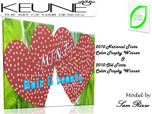 Poster Design by sowmya chowdary for Mint Hair & Beauty Pty Ltd | Design: #70719