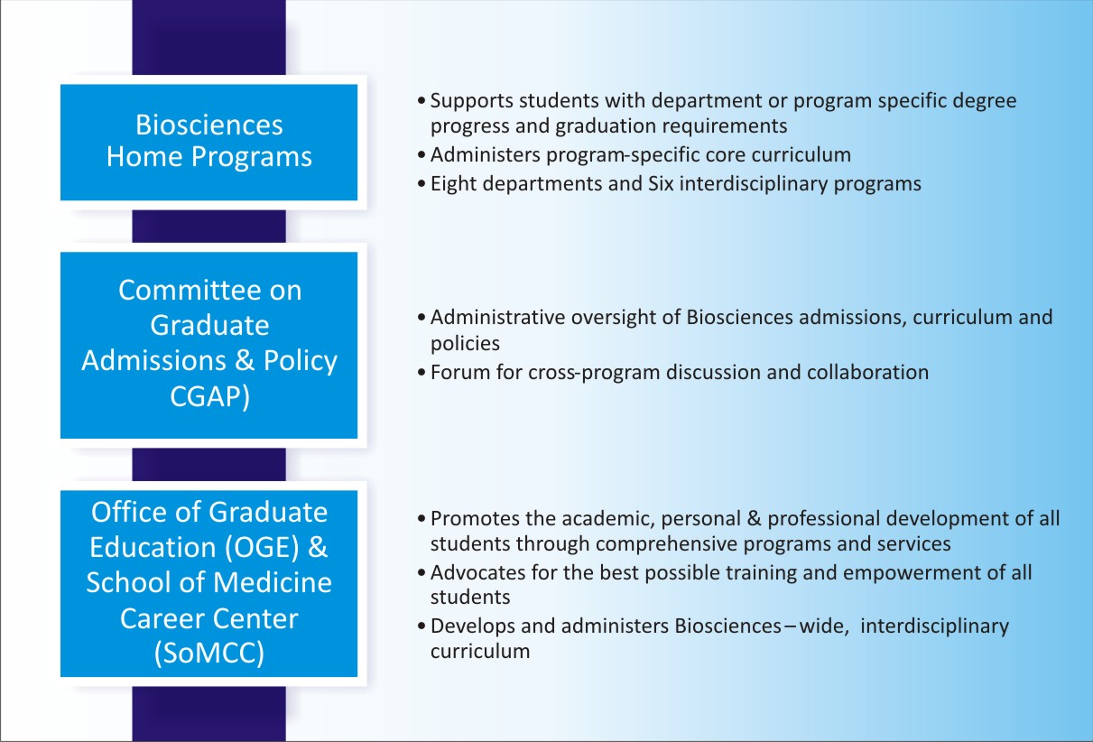 Graphic Design by javeddesigner322 for this project | Design #3128221