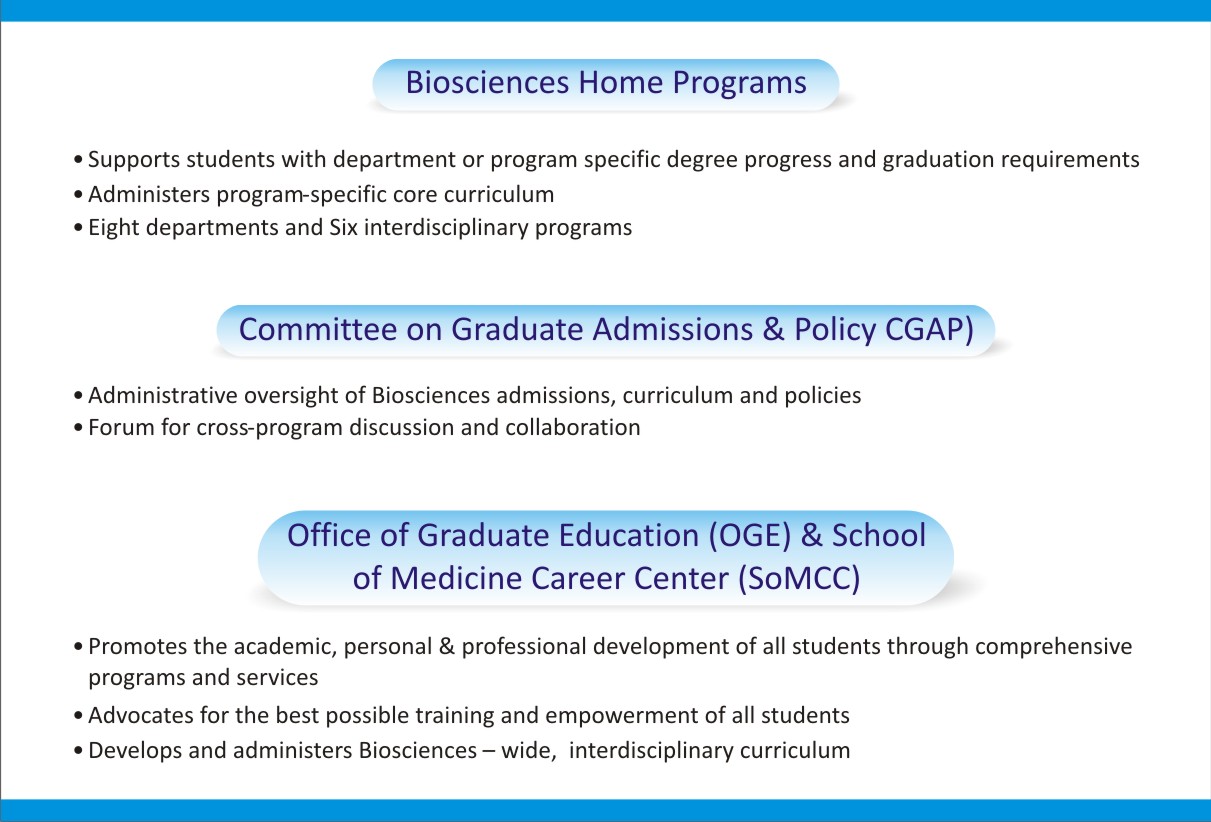 Grafik-Design von javeddesigner322 für dieses Projekt | Design #3128226