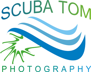Logo Design by deepa