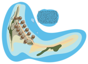 Illustration Design by Kings Bishop Design for Tides Beach Resort LTD | Design: #777482