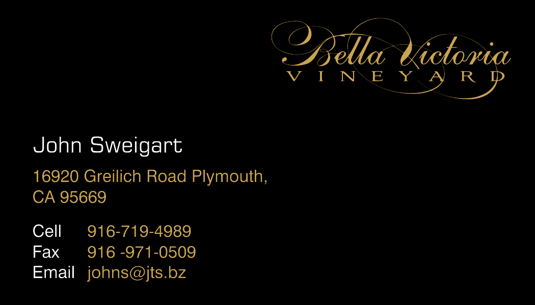 Business Card Design by Qisa for this project | Design #3179598