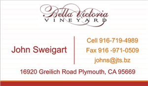 Business Card Design by mohitrao2013 for this project | Design: #3189977