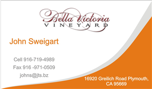 Business Card Design by mohitrao2013 for this project | Design: #3189980