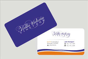 Business Card Design by Anil for this project | Design #3184324