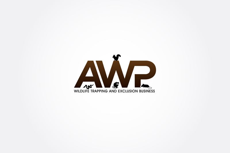 Logo-Design von ppnelance für dieses Projekt | Design #796503