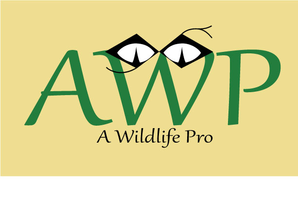 Logo-Design von ryyan für dieses Projekt | Design #765908