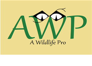 Logo Design by ryyan for this project | Design: #765908