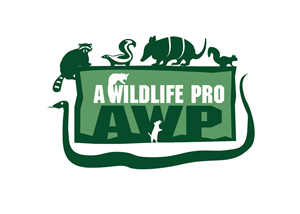 Logo Design by rkailas