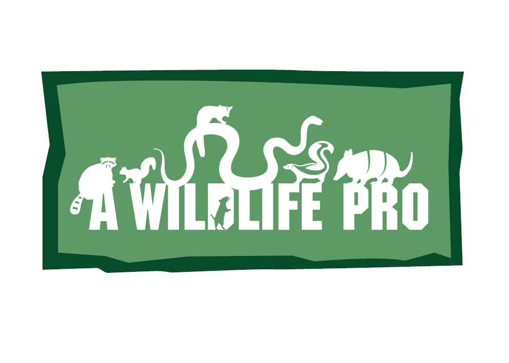 Logo Design by rkailas for this project | Design #795351