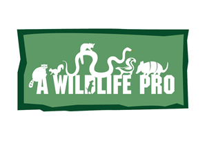 Logo Design by rkailas for this project | Design: #795351