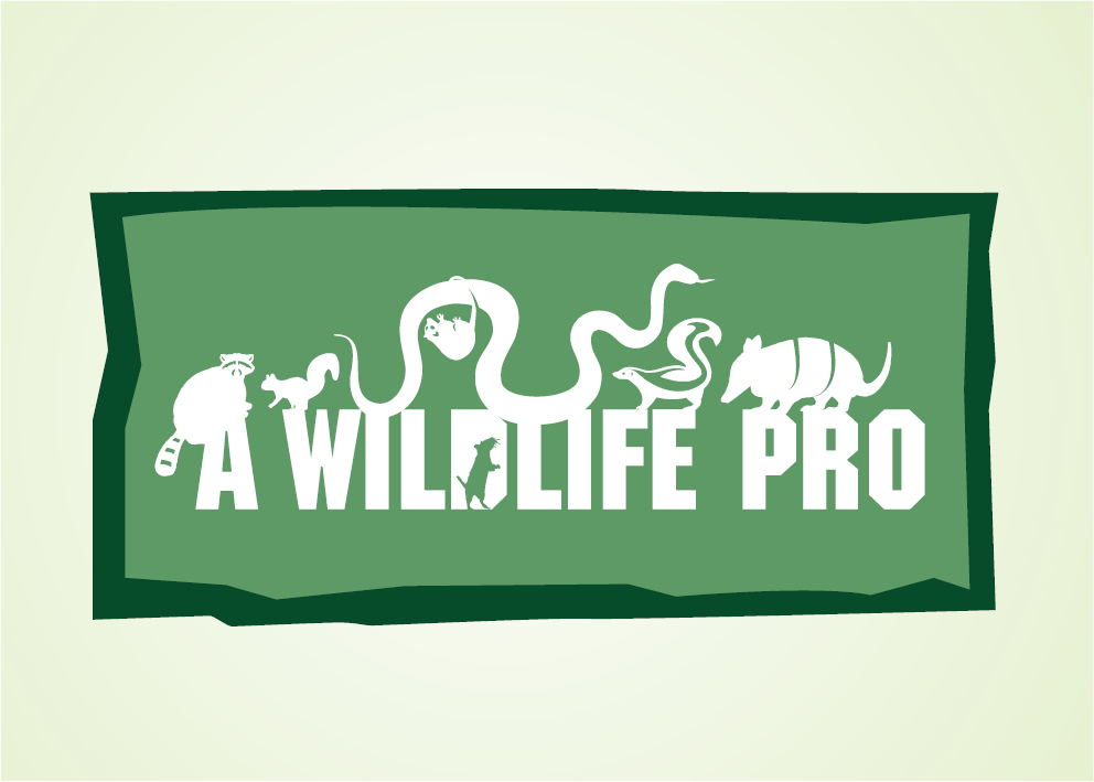 Design de Logo par rkailas pour ce projet | Design #801123