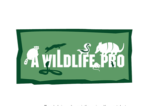 Logo Design by rkailas for this project | Design: #805818